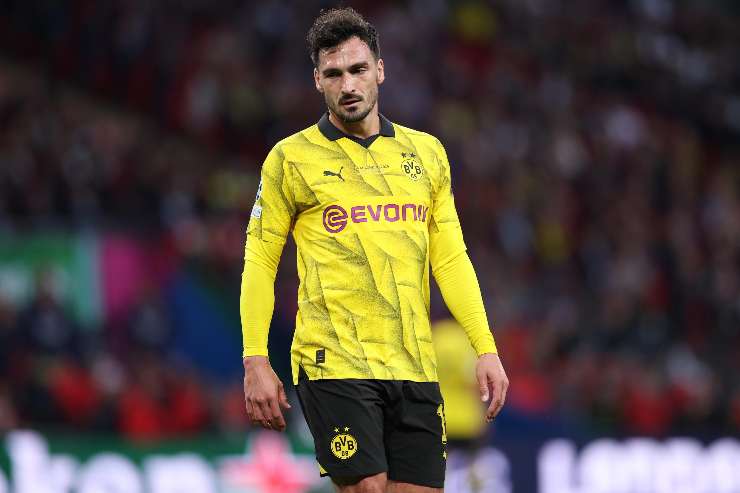 Hummels bologna